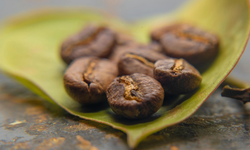 Kaliteli Filtre Kahve Seçimi: Aroma Ve Gövde İpuçları