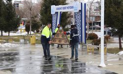 Edremit Belediyesi ilçenin dört bir yanına kedi evleri yerleştirdi