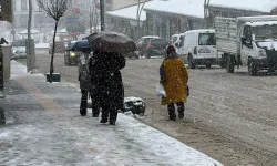 Başkale’de kar yağışı etkili oldu, ilçe merkezi beyaza büründü