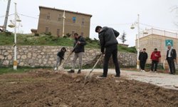 Tuşba Belediyesi Eski Van Evleri’nde bakım ve onarım çalışmalarını sürdürüyor