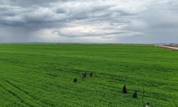 Diyarbakır'da kaybolan 3 yaşındaki çocuk tarlada uyurken bulundu