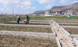 İpekyolu Belediyesi Bostaniçi Kadın Bostanı’nda yeni sezon üretimi başladı