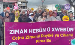 Arsisa Dil Araştırmaları Merkezi Derneği Eşbaşkanı Keleş: Kürt dili statü kazanmalı ve eğitim dili olmalıdır