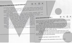 Gülistan Doku soruşturması: Tutuklu bilişimciye 'hastane veri sızıntısı' soruldu
