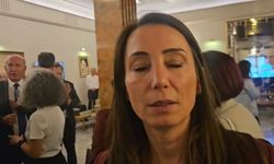 DEM Parti'den 'Çerçeve Yasa' için ilk değerlendirme: MGK raporunu bir an önce hazırlamalı süreç gecikmemeli