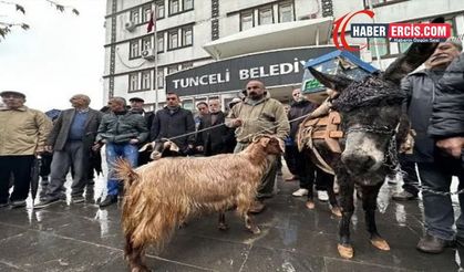 Köylülerden Dersim Belediyesi önünde eşekli, keçili protesto