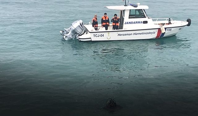 Yoldan Çıkan Araç Van Gölü'ne uçtu