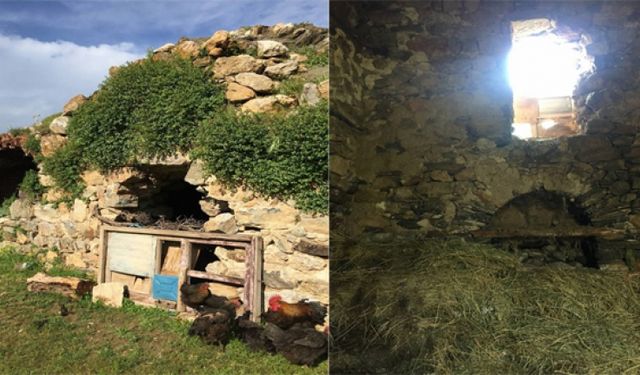 Van Gevaş’taki Tarihi Kilise Hayvan Barınağına Döndü!