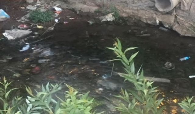 Van Gölü’ne akan sular, yol boyunca topladığı her türden atığı göle ulaştırıyor