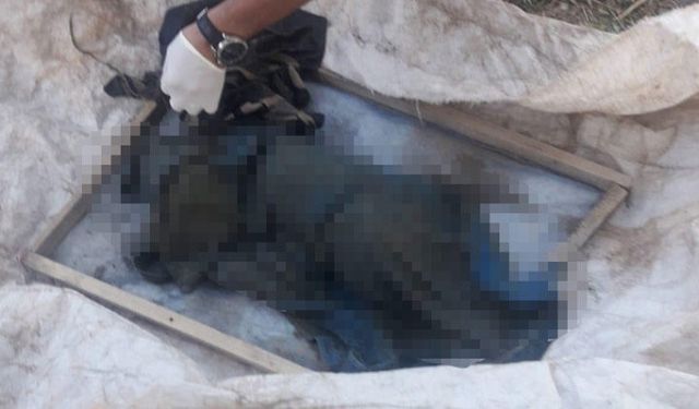Van'da Bebek Cesedi Bulundu