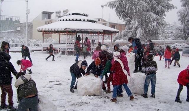 Çaldıran ve Çatak'ta okullara kar tatili
