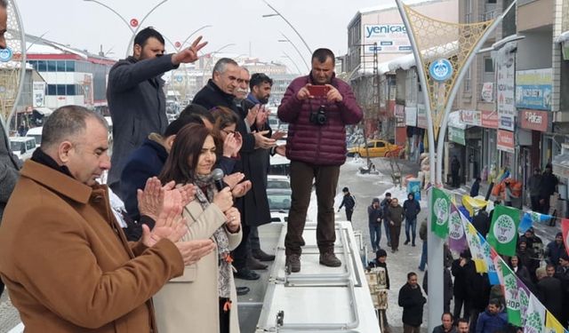 HDP Saray ve Çaldıran'da seçim bürolarını açtı