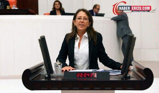 Van'da mermer ocağına karşı direnen halka saldırı bakanlara soruldu
