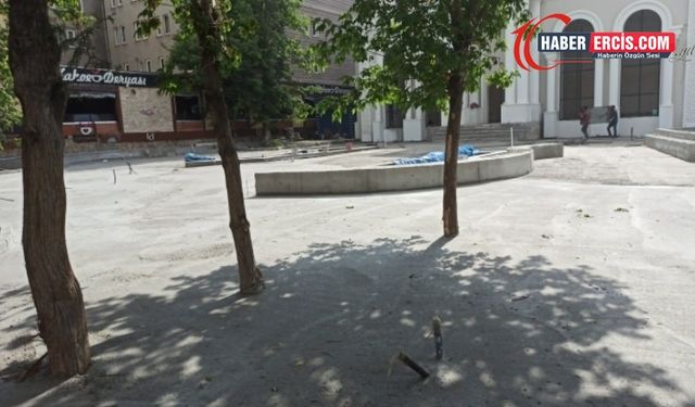 Van'da Kayyım ağaçları betona gömdü