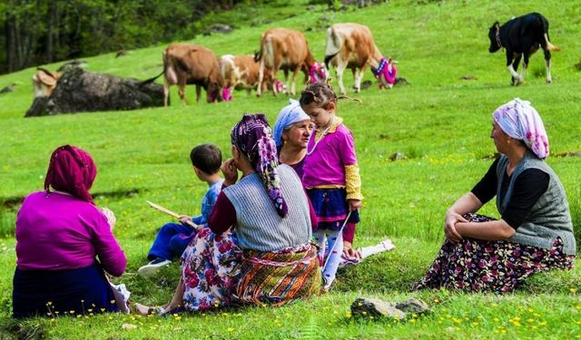 Türkiye'de 15 dil yok olma tehlikesi altında: Romeika'nın eğitim dili olmasını istiyor