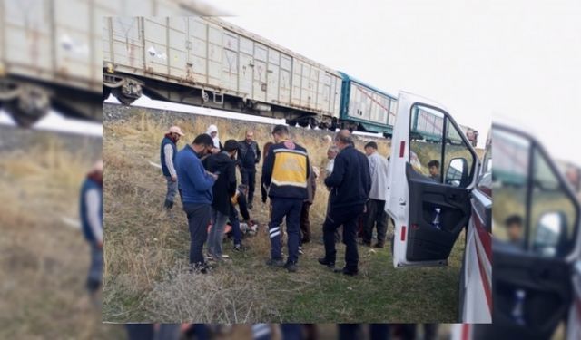 Van'da Koyun sürüsüne tren çarptı