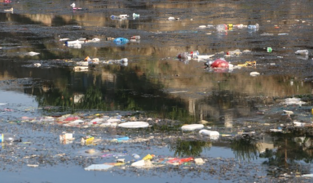 Dicle Nehri’ne atılan çöpler canlı hayatını tehlikeye atıyor