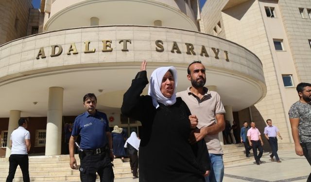 Emine Şenyaşar hakkında ceza talebi