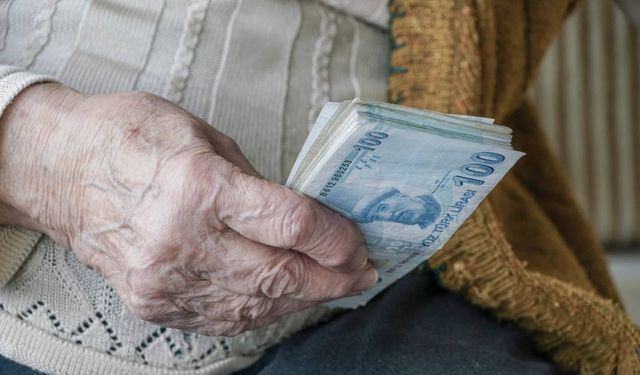 Emekli-Sen Van Şubesi: Emekliler açlığa mahkum edildi