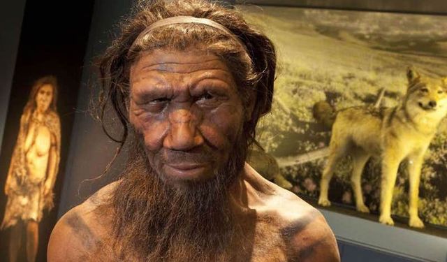 Soyu tükenmiş insan türü Neandertaller Bizim Gibi Konuşabiliyor muydu?