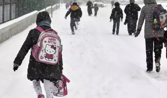 Van ve Ağrı’da olumsuz hava koşulları nedeniyle eğitime ara verildi