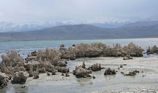 Van Gölü’nde kirlilik artıyor, canlı popülasyonu yok oluyor