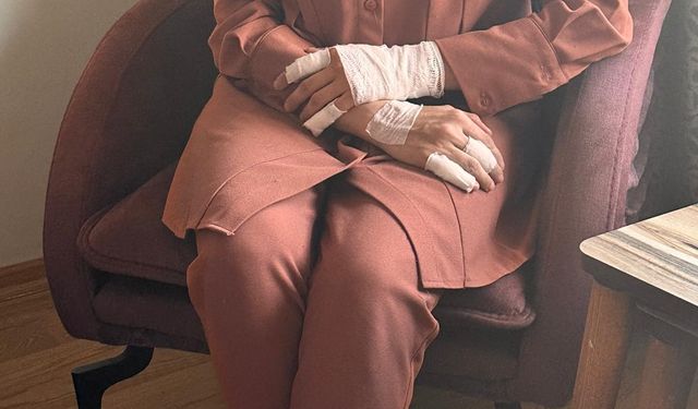 Erciş'te başıboş köpeklerin saldırdığı kadın öğretmen yaralandı