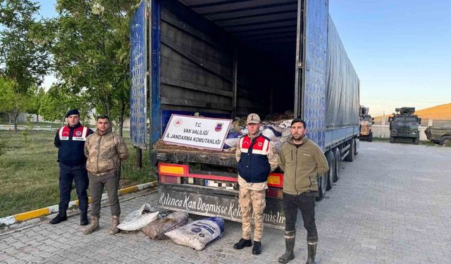 Van'da 19 Ton Kaçak Avlanmış İnci Kefali Ele Geçirildi