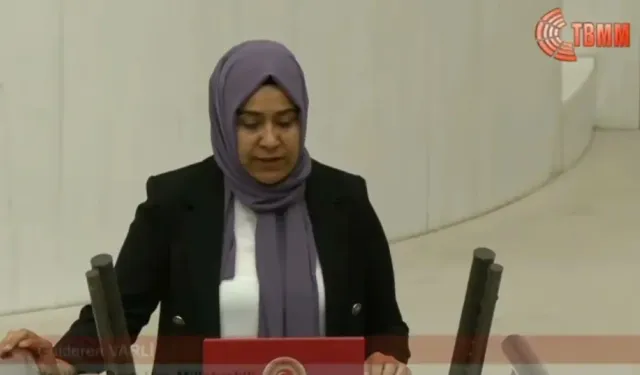 Van Milletvekili Gülderen Varlı, Cezaevlerinde ‘Çıplak Arama’ İddiasını Meclis Gündemine Taşıdı