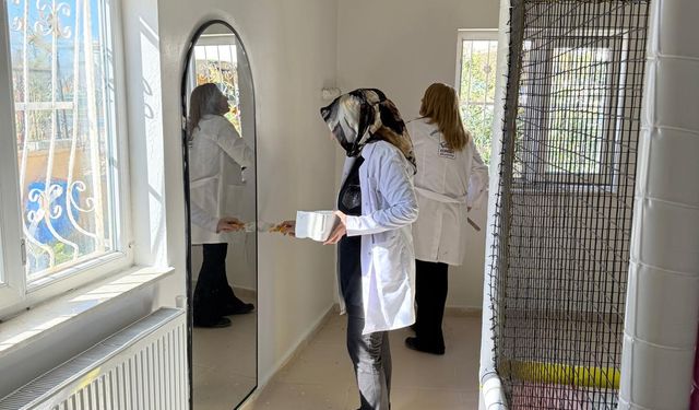 Edremit Belediyesi Engelsiz Yaşam Merkezi Yeni Döneme Hazır