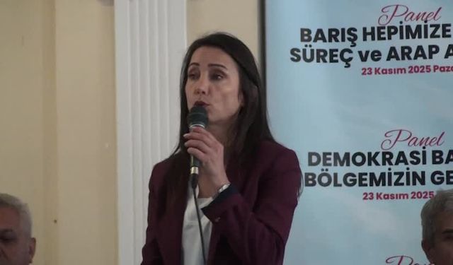 DEM Parti Eş Genel Başkanı Hatimoğulları: Bu görüşmeler devletle yapılıyor, AKP-MHP’yle değil