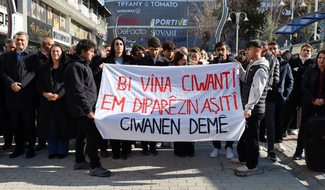 Van'da DEM Parti Gençlik Meclisi üyesi kaçırılıp işkence yapıldı