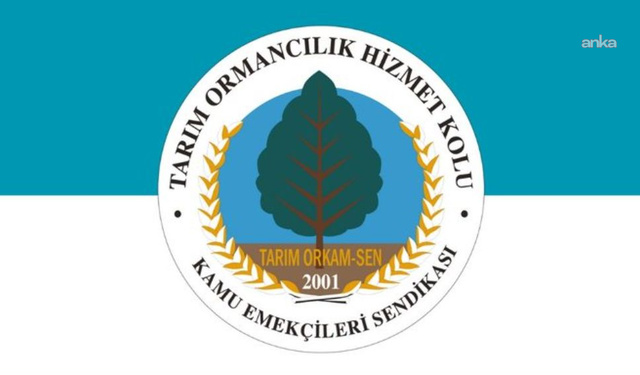 Danıştay, Tarım Bakanlığı'nın 'ilave ödeme kesintisi'ne ilişkin uygulamasını iptal etti