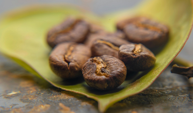 Kaliteli Filtre Kahve Seçimi: Aroma Ve Gövde İpuçları