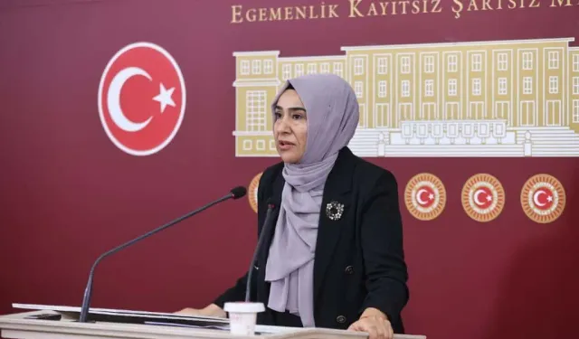 Erciş’te su ve altyapı sorunları TBMM gündeminde