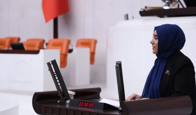 Van Milletvekili Gülderen Varlı’dan kadın cinayetleri ve şüpheli ölümlerle ilgili 21 soruluk önerge