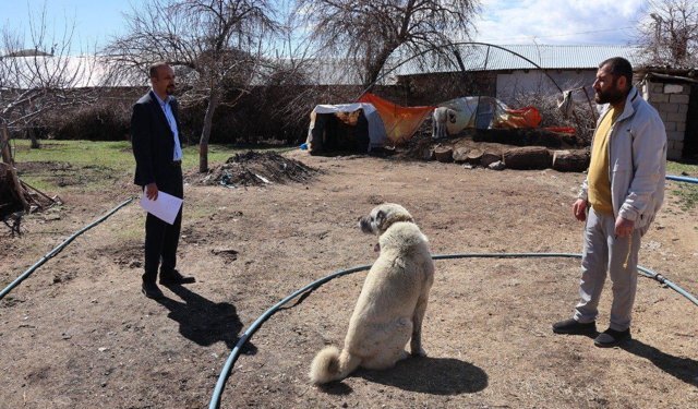 Tuşba Belediyesi sahipsiz köpekler için kırsalda kayıt ve kontrol çalışması başlattı