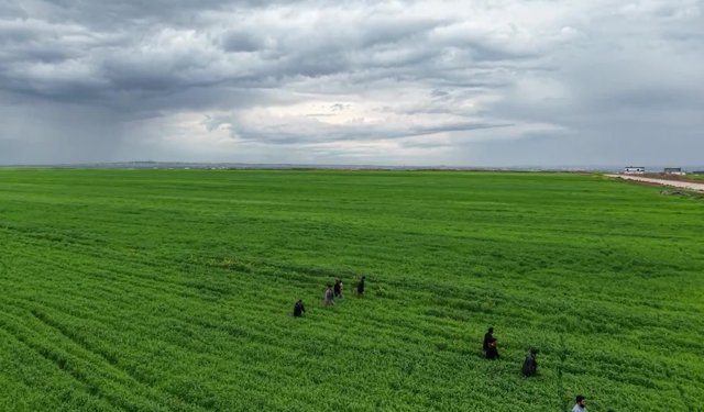 Diyarbakır'da kaybolan 3 yaşındaki çocuk tarlada uyurken bulundu