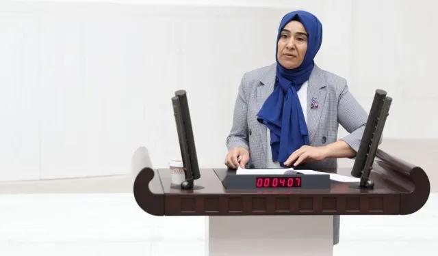 DEM Parti Van Milletvekili Varlı, Van’daki deprem gerçeğini meclis gündemine taşıdı