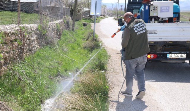 Edremit Belediyesi: İlaçlama Çalışmaları Aralıksız Devam Ediyor
