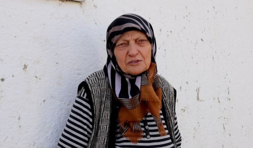 Van'daki Laz köyü: 'Burada Laz, Karadeniz’de Kürt diyorlar'