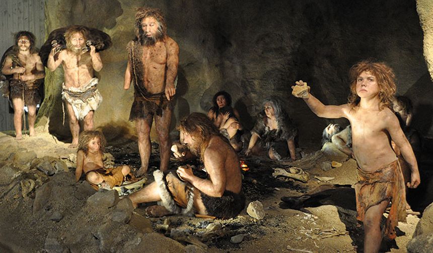 Atalarımızın konuşma yetisi 25 milyon yıl önce evrimleşti