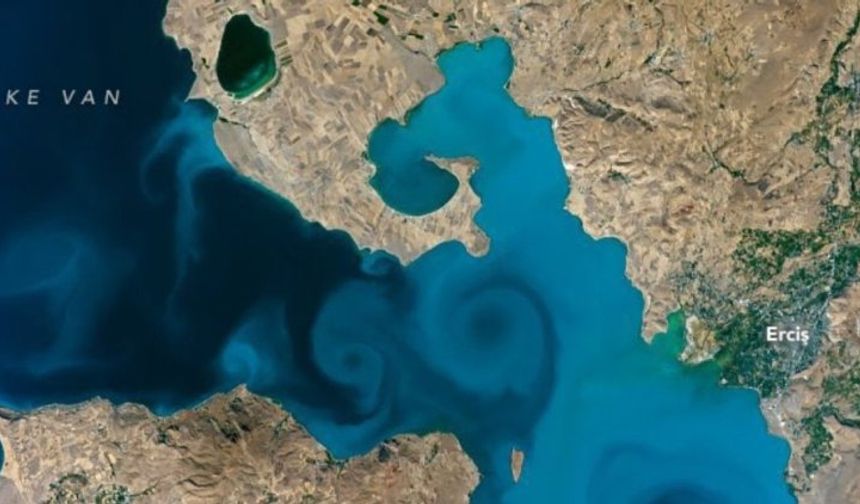 NASA görüntüledi: İşte Van Gölü'ndeki öldüren akıntı