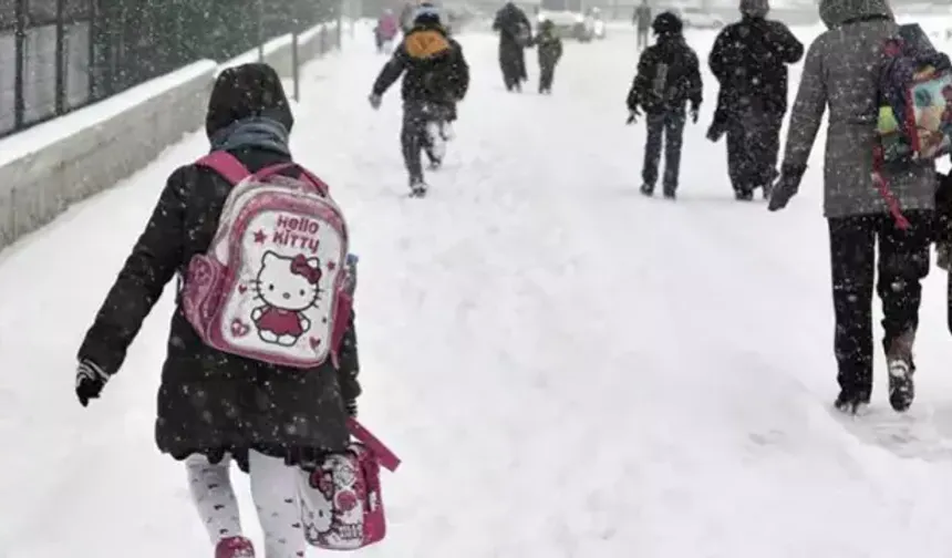 Van ve Ağrı’da olumsuz hava koşulları nedeniyle eğitime ara verildi