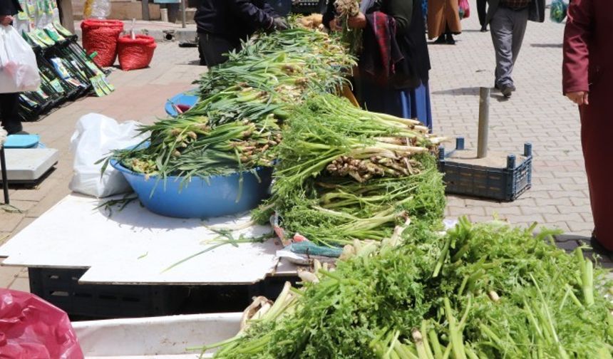 Van'da dağların şifası tezgahlarda yok satıyor