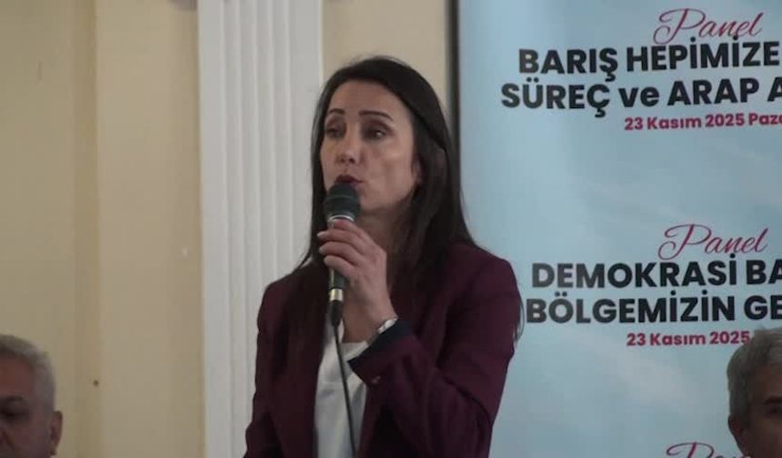 DEM Parti Eş Genel Başkanı Hatimoğulları: Bu görüşmeler devletle yapılıyor, AKP-MHP’yle değil