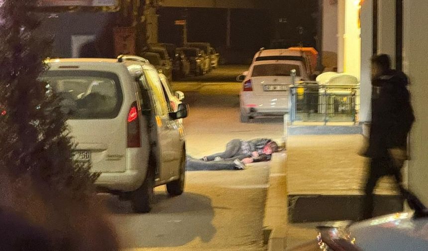 Van'da otel sahibi baba-oğul silahlı saldırıda öldürüldü