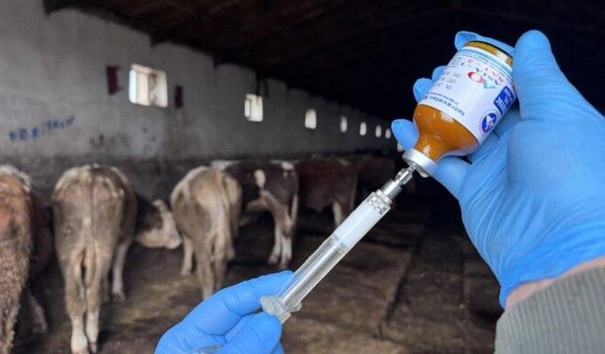 Muğla'da 11 mahalle karantinaya alındı