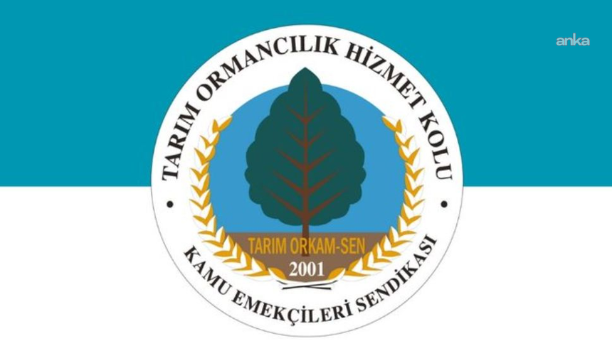 Danıştay, Tarım Bakanlığı'nın 'ilave ödeme kesintisi'ne ilişkin uygulamasını iptal etti