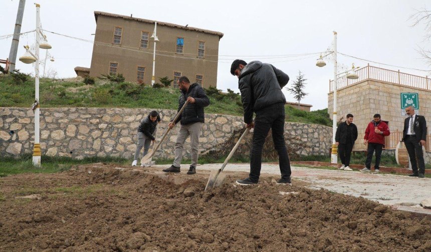 Tuşba Belediyesi Eski Van Evleri’nde bakım ve onarım çalışmalarını sürdürüyor